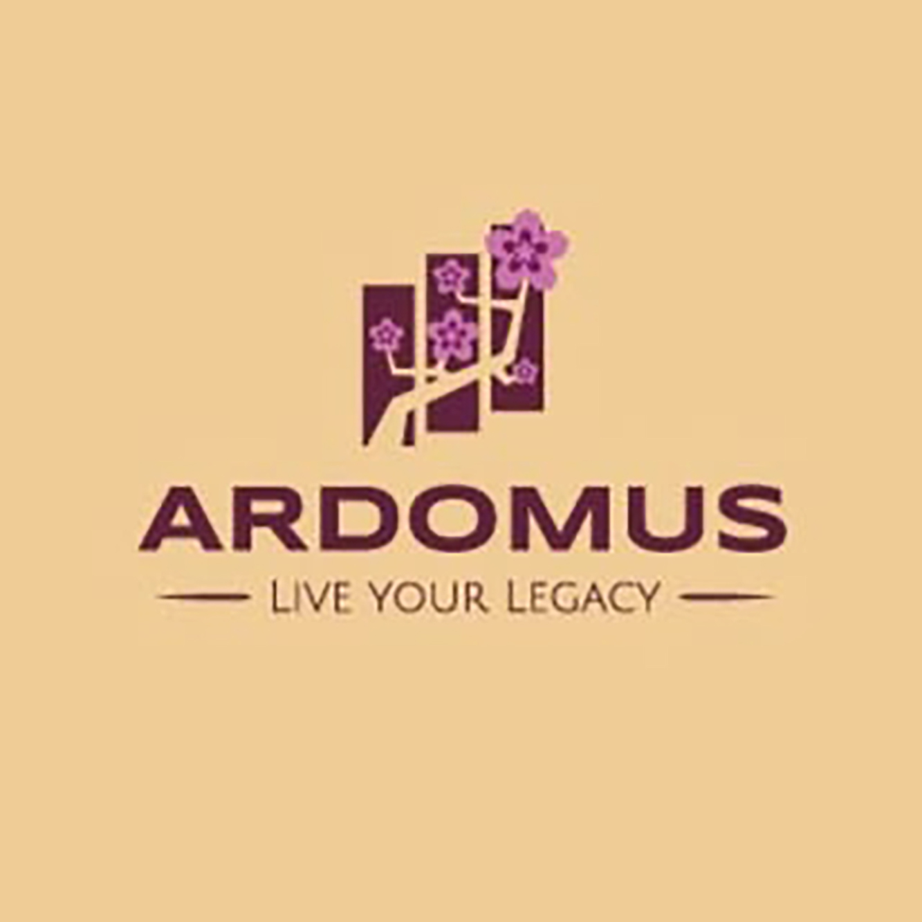 Ardomus